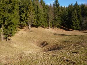 08 Zreče - osameli kras (Foto 08, Ljudmila Strahovnik, ZRSVN OE Celje)